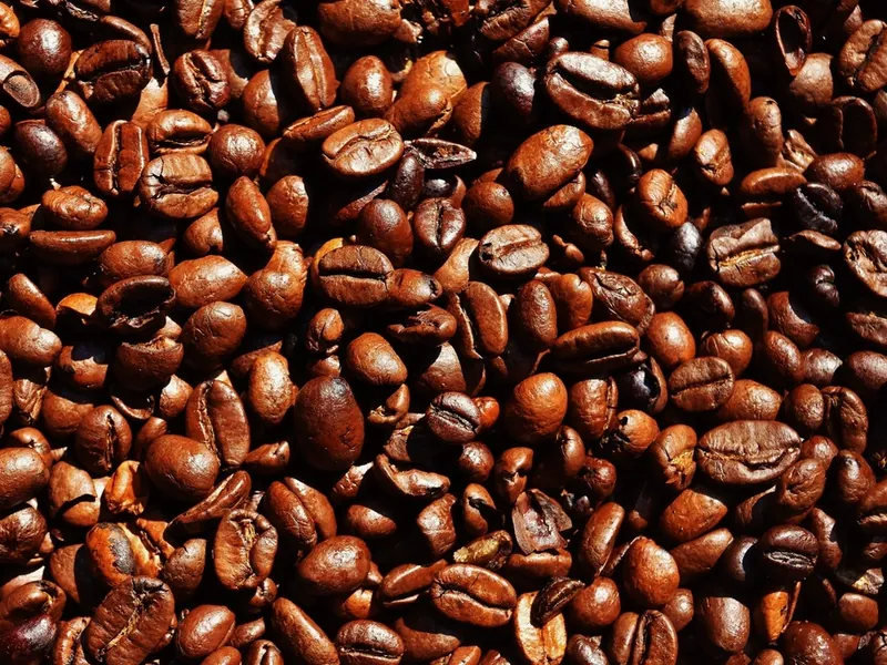 Neu: Kaffeebohnen zum Mitnehmen
