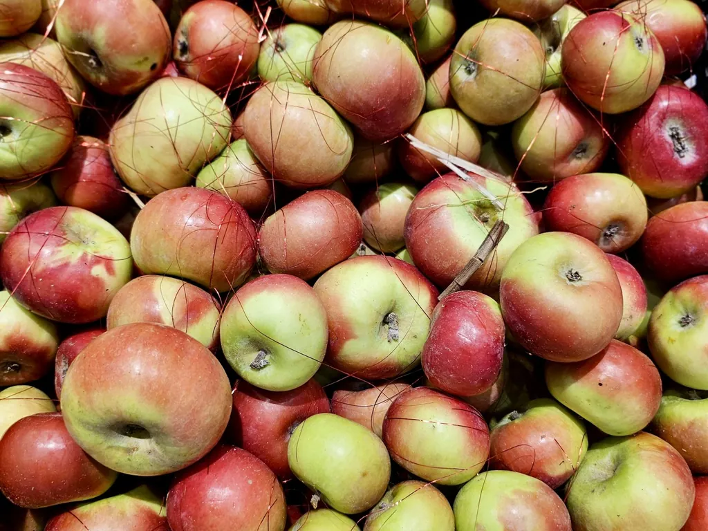Äpfel −20 %