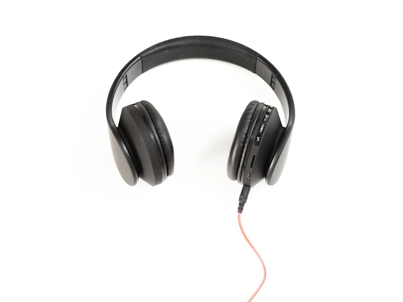 Bragg Quiet ANC In-Ear Earbuds