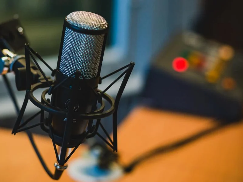 Bragg Podcast Microphone