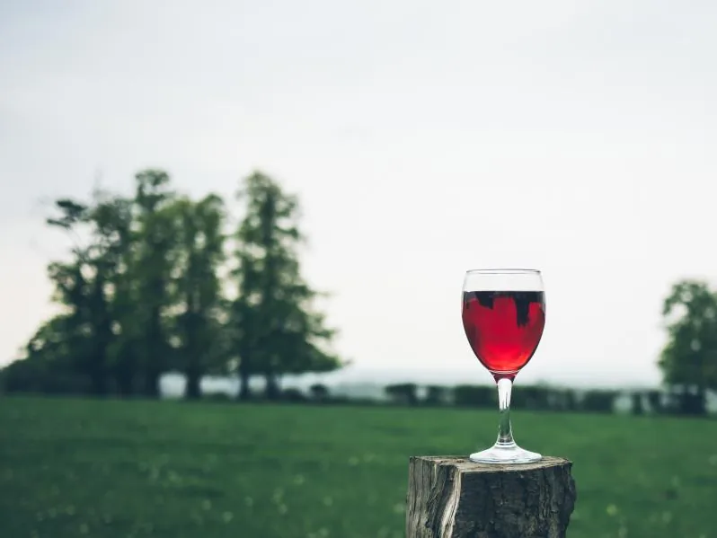 Dornfelder red wine, dry