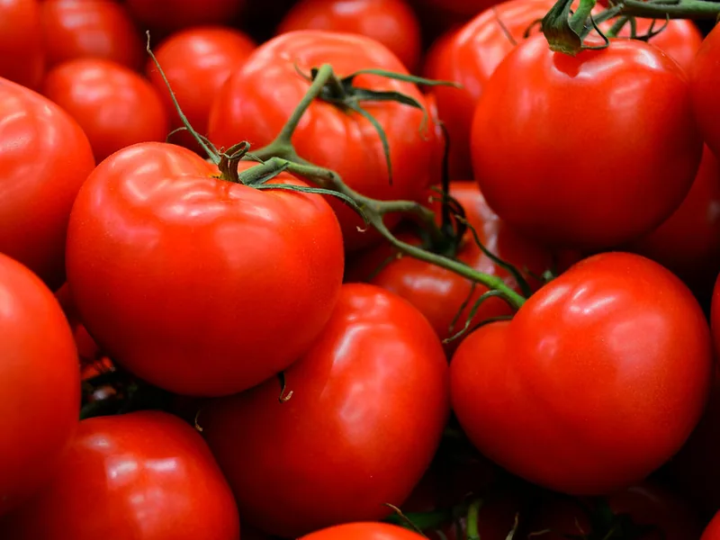 Feierabend-Frische: Bio-Tomaten −40 % ab 17 Uhr